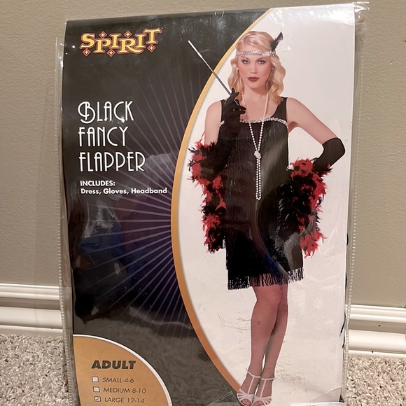 Black Fancy Flapper Costume - Picture 1 of 3